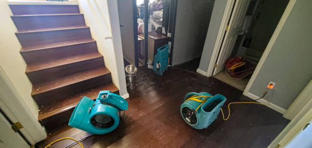 Best Local water damage restoration  in Fennimore, WI