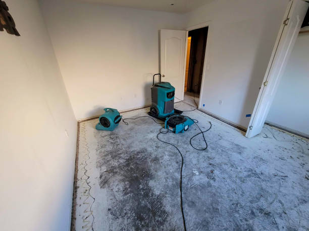 Water damage restoration experts in Fennimore, WI