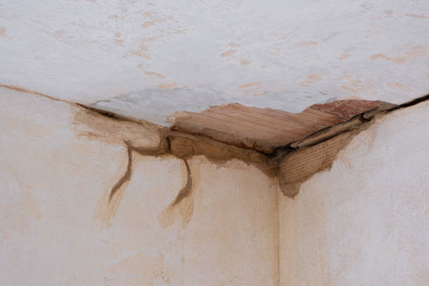 Best Ceiling water damage repair  in Fennimore, WI