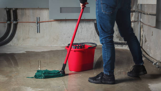 Best Water damage contractors near me  in Fennimore, WI
