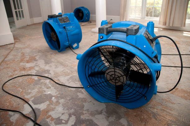 Best Carpet water damage restoration  in Fennimore, WI