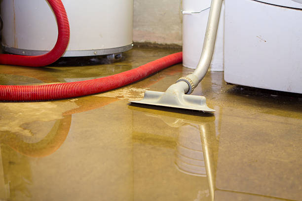 Best 24/7 water damage repair  in Fennimore, WI