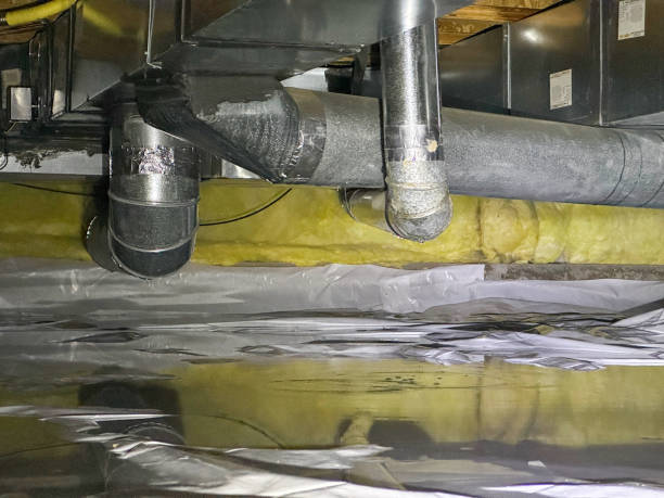 Best Water damage restoration experts  in Fennimore, WI