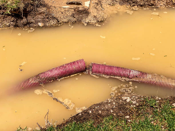 Best Flood damage cleanup  in Fennimore, WI