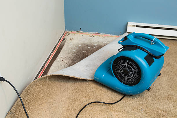 Best Professional water damage repair  in Fennimore, WI